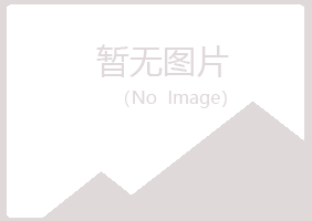 白银平川初夏公益组织有限公司